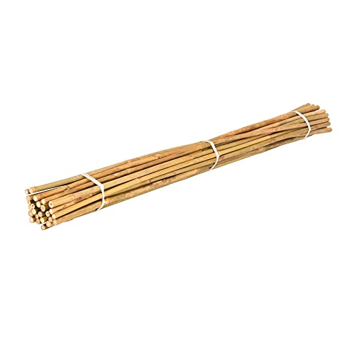 Bamboo Poles - Versatile Building and Craft Material