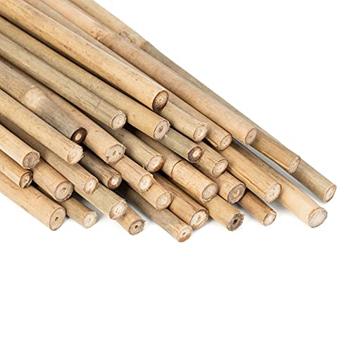 HAINANSTRY Garden Wood Plant Stakes Green Bamboo Sticks, Sturdy Floral  Plant Support Stakes Wooden,Wooden Sign Posting Garden Sticks(25 Pack 18  Inches) 
