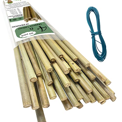 Bamboo Poles - Versatile Building and Craft Material