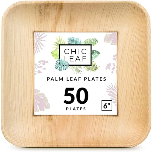 ECO SOUL 100% Compostable 6 Inch Paper Plates [100-Pack] Small Disposable  Party Heavy Duty, Eco-Friendly, Appetizer, Dessert, Wedding Plates I